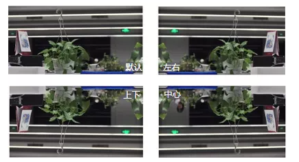 鏡像的幾種效果